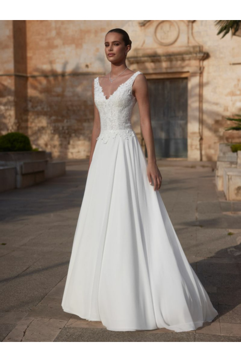 CAMELIA - BIANCO EVENTO