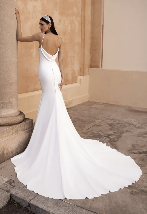 Antiope linea pronovias