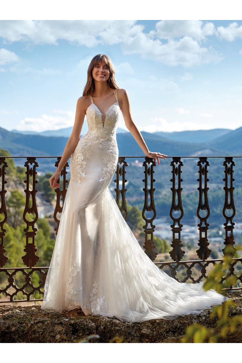 Abito da sposa CECILY di Nicole Colet, design elegante con dettagli floreali, sfondo panoramico.