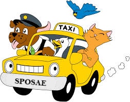 Servizio taxi trasporto auto per spose e matrimonio
