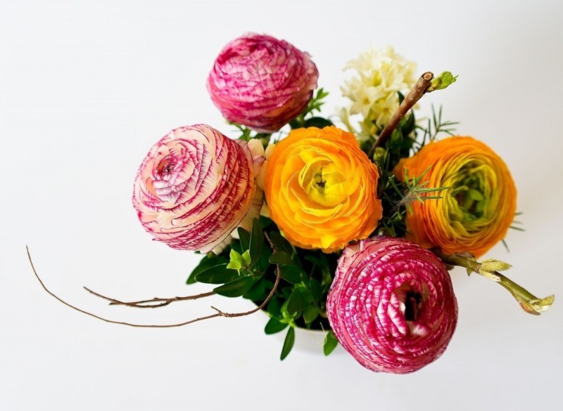 Matrimonio in Primavera: i consigli